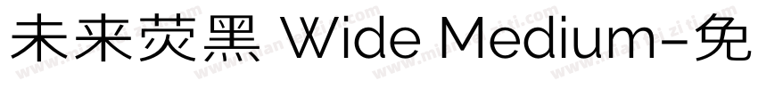 未来荧黑 Wide Medium字体转换